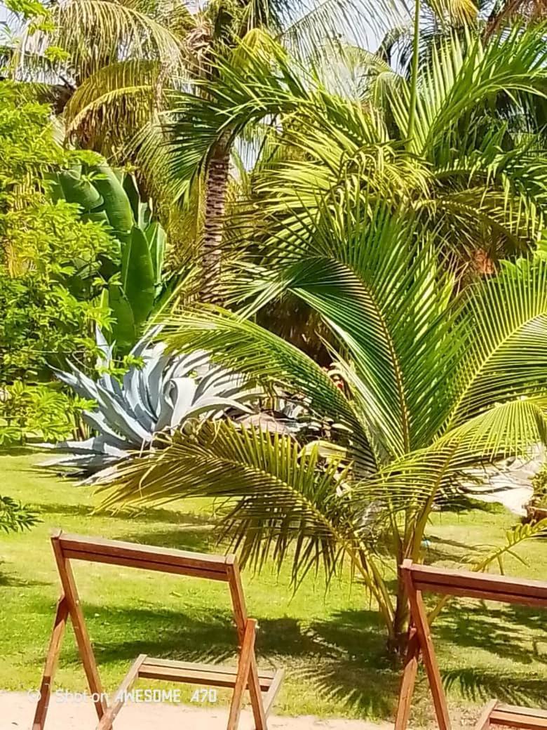 Chambre D'Hote Les Vacanciers Nianing Экстерьер фото